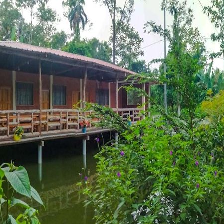 Yaku Wasi Lodge Puerto Misahuallí Dış mekan fotoğraf