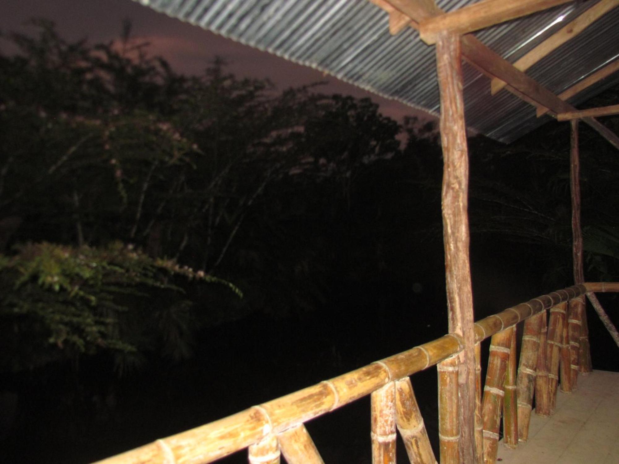 Yaku Wasi Lodge Puerto Misahuallí Dış mekan fotoğraf